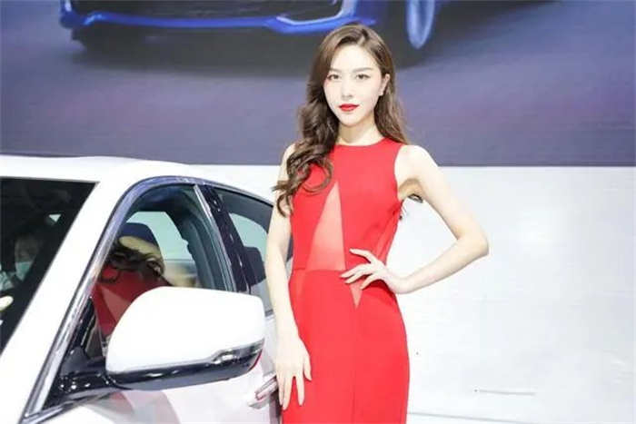 2023第八届中部（武汉）国际汽车博览会  第4张